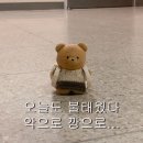 MZ따라잡기 인스타그램 | 조금 더 좋은 곳으로 흘렀으면