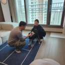 펫 - 양주시 북한산로 924 | 펫