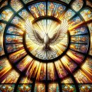 성령상사 | 예비신자 교리 및 세례성사 후기