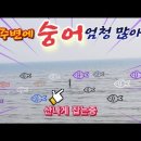 694 이미지