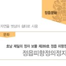 태인면사무소 | [정읍문화재/정읍피향정] 자연을벗삼아쉼터로사용 정읍피향정의정자