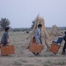 브로디 주식회사 이미지