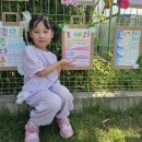 하버드 반 조예리 입니다 이미지