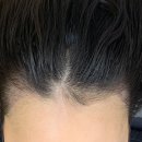 크레센트421 이미지