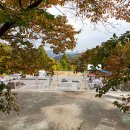 산속농원 이미지