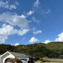 서쪽사계 | [빵사계] 제주 서쪽 비건 빵집 빵사계 쌀호떡 후기