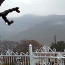 산촌편지