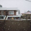 폴레폴레 게스트하우스 이미지