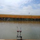 하마낚시터 이미지