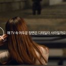 밝은해TV 이미지
