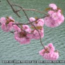 좋은생각 이미지