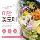 도림동 | 인천 꽃다발 추천 도림동 이안꽃도매 가성비 좋은 꽃집 후기
