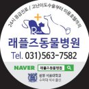 몽스텔라