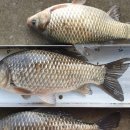 2박3일낚시터 이미지