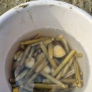 몽산포오페라하우스 이미지