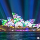 비비드13(vivid13) 이미지