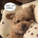 현대모터스정비