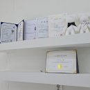 혜안뷰티