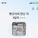 31140-5-40-8 | [출산] 자연진통 걸린, 40주3일차 메디아이 출산 후기