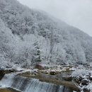 영천 치산캠핑장에서 1박2일