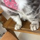 고영주택 이미지