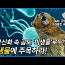 단군신화, 곰은 '미생물' 덕분에 사람이 됐다?! '미생물'을 느끼게 해드립니다 (미생물학자 김응빈 교수) [미생물 1/2화] 이미지