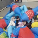 드림태권도 이미지