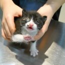 공안당한의원 이미지