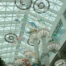 용인우체국 (B1~4층) | 용인 대형 카페 포레스트 아웃팅스 용인점 내돈내산 후기