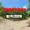 황금터농장 이미지