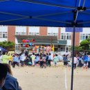 대구송일초등학교 이미지