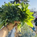 서수원농자재마트 이미지