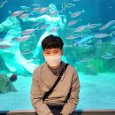 ＜ 현장체험학습 ＞ 신세계백화점 아쿠아리움 체험활동 이미지