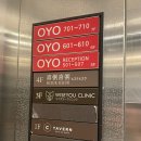 오요 호스텔 명동2 | OYO Hostel 오요호스텔 명동 2 후기 가성비 최고인 곳