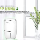365렌탈