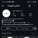 365성심플란트치과의원 이미지