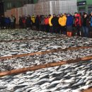 부산공동어시장 이미지