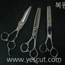 미스 & 미스터미용실