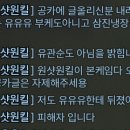 멜3 막피 벨라트 부캐로 본인 아닌척 하는데 이미지