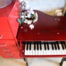 해난디아장 이미지