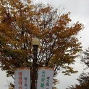 감성 캘리그라피 레시피 이미지