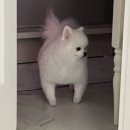 이 몸, 학여울역에 등장