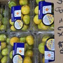 도토리하우스 이미지