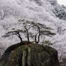 지리산편의점