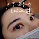 그로우현 | 전주 속눈썹 잘한다고 소문난 인후동 그로우현 방문 후기