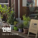 지유맛집 | [인천 맛집] 동인천 차이나타운 개항로 카페 맛집 : 지유 오븐 수제 카라멜 내돈내산 후기