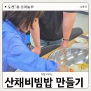 대장산농장 | [양산 텃밭 체험] 편식 고치는 주말농장! 아이와 함께 직접 수확한 채소로 산채비빔밥 만들기