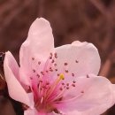 국립부곡병원약물중독진료소 - 12091 | 부산과 경남에서 약물 중독 회복을 위한 기관 안내