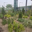 작은정원 이미지