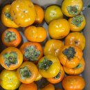 [2025년 11월 후원] 11월 후원해주신 모든 분들께 감사합니다ദി ᷇ᵕ ᷆ )♡ 이미지